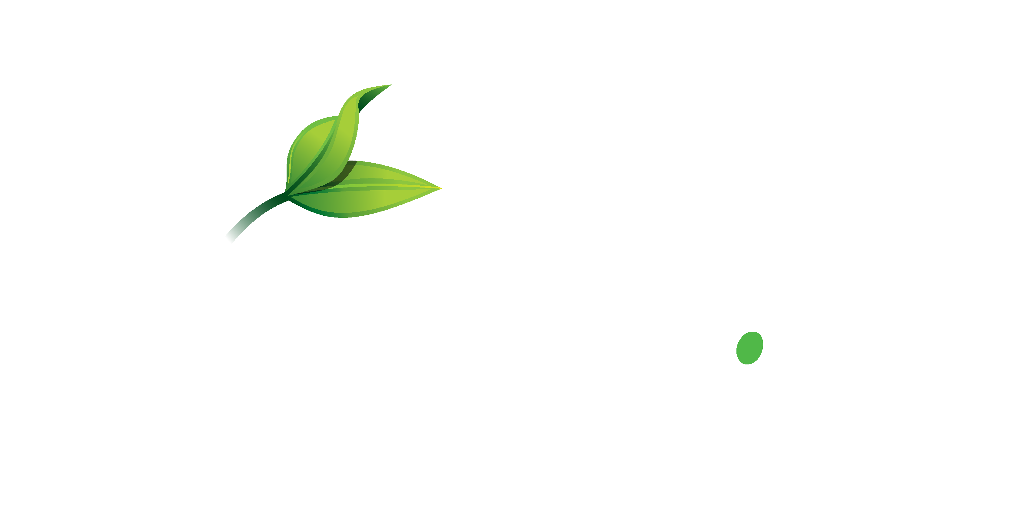 logo vital dent