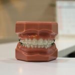 Jak często dorosły powinien zgłaszać się do dentysty?